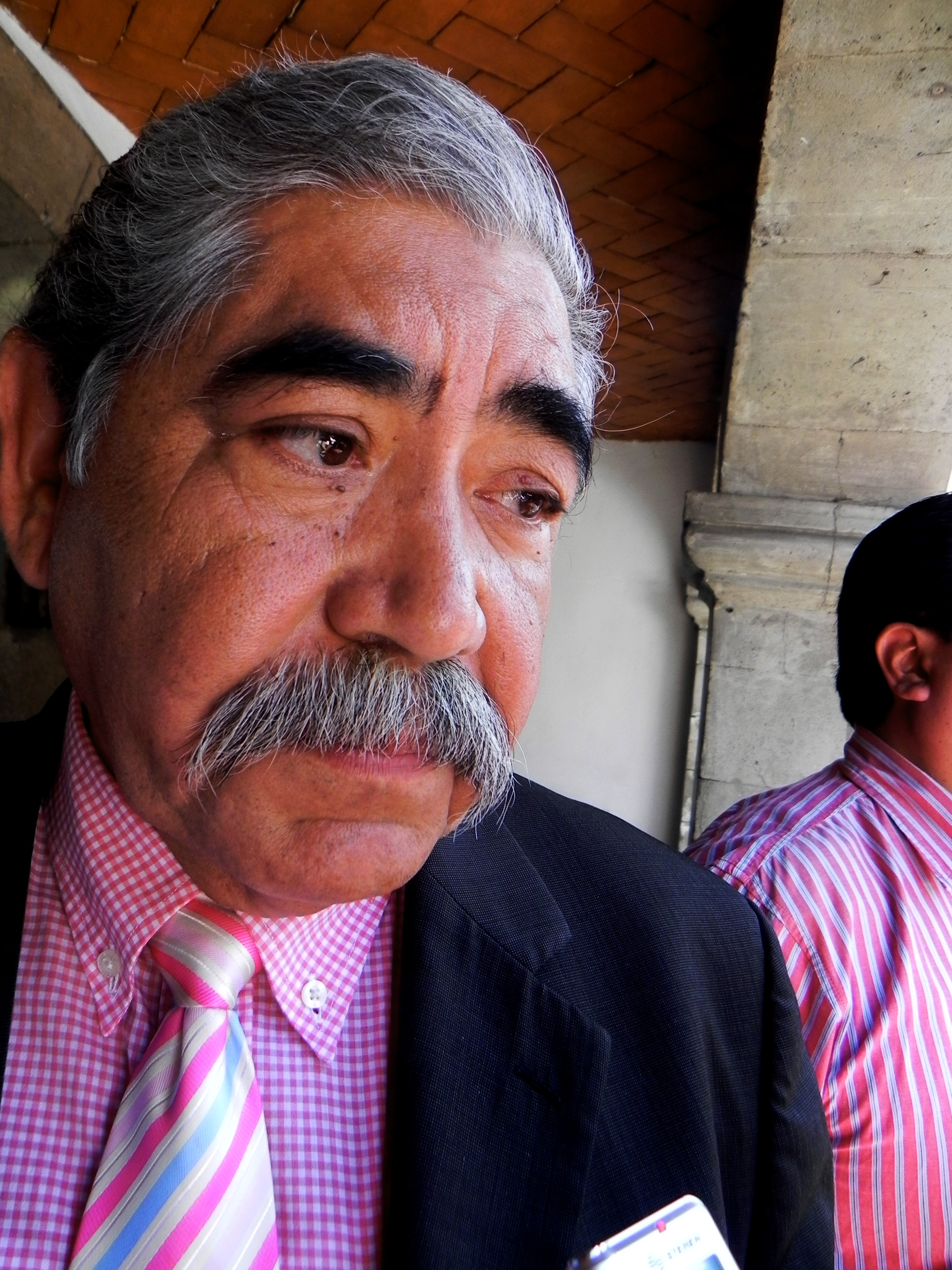 Pedro Pino, profesor