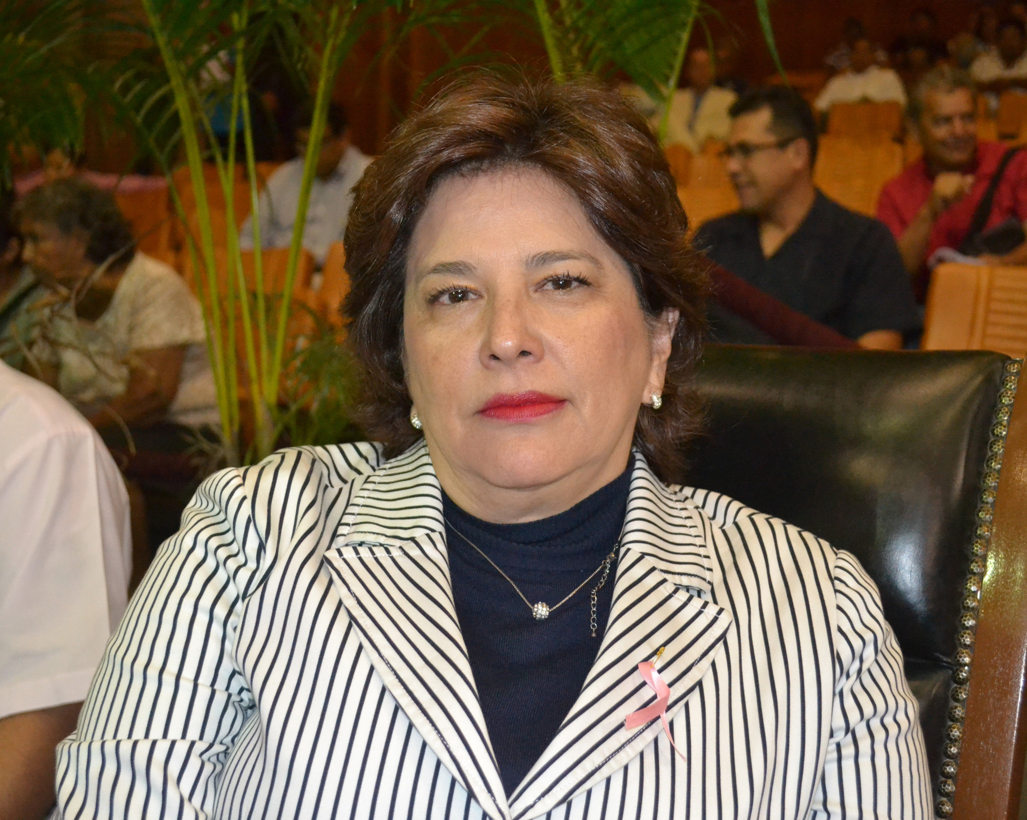 María Teresa Domínguez Rivera (PRD)