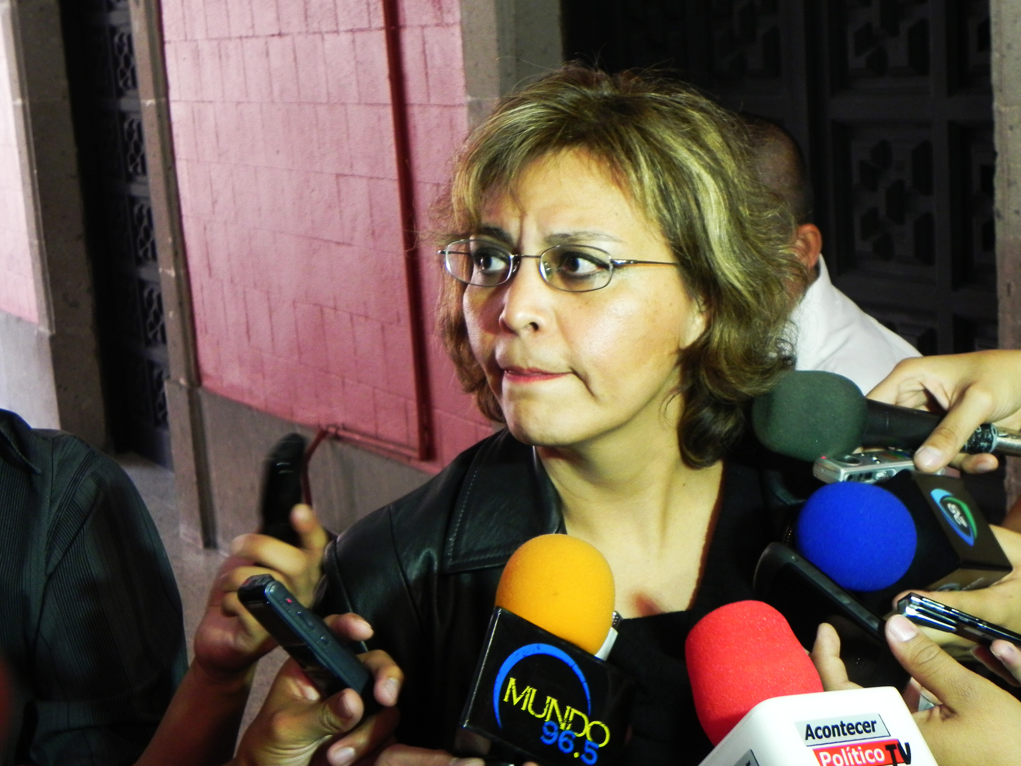 Angélica San Vicente Cisneros