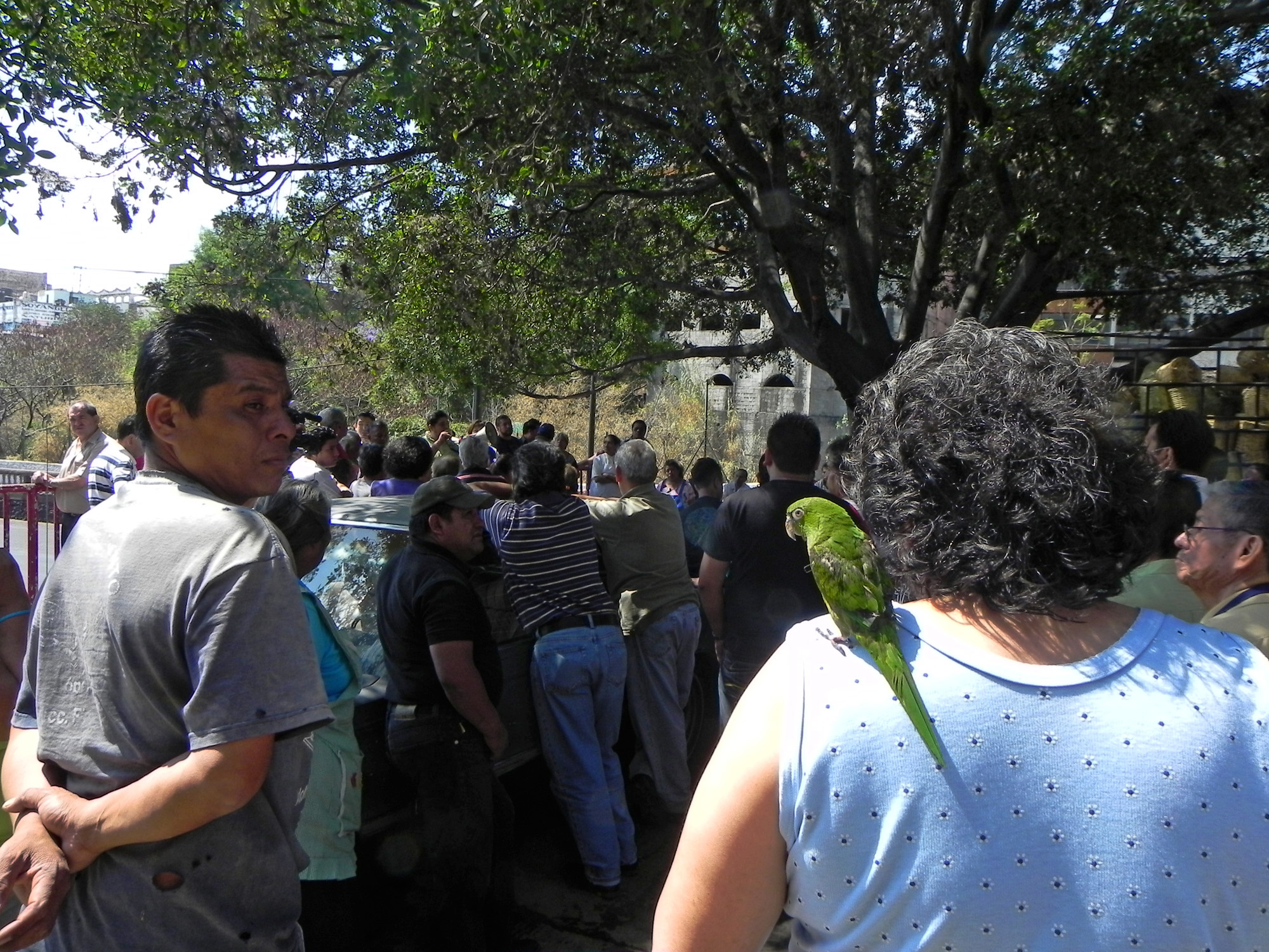 Localatarios mercado