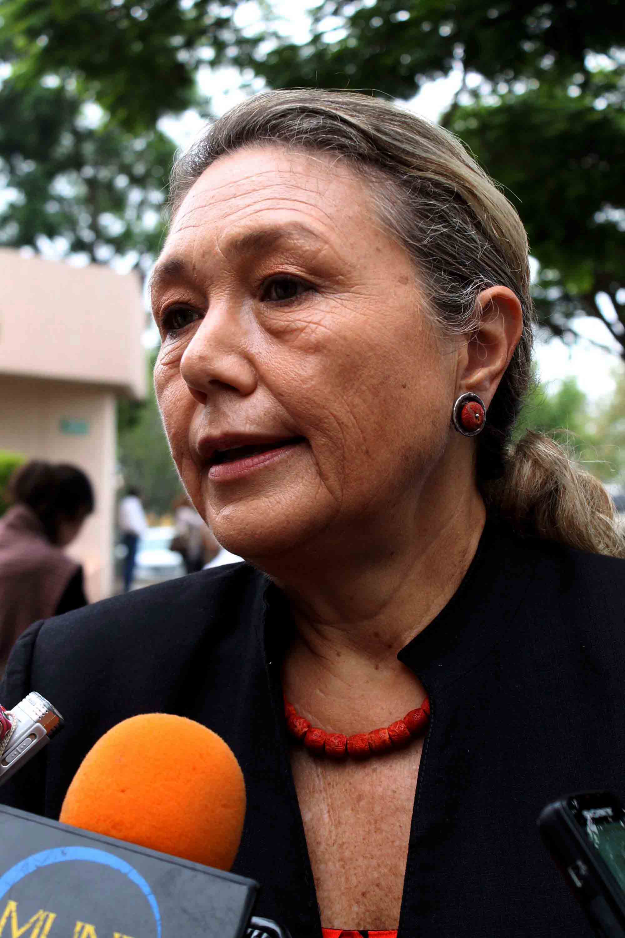 Vesta Richardson López Collada