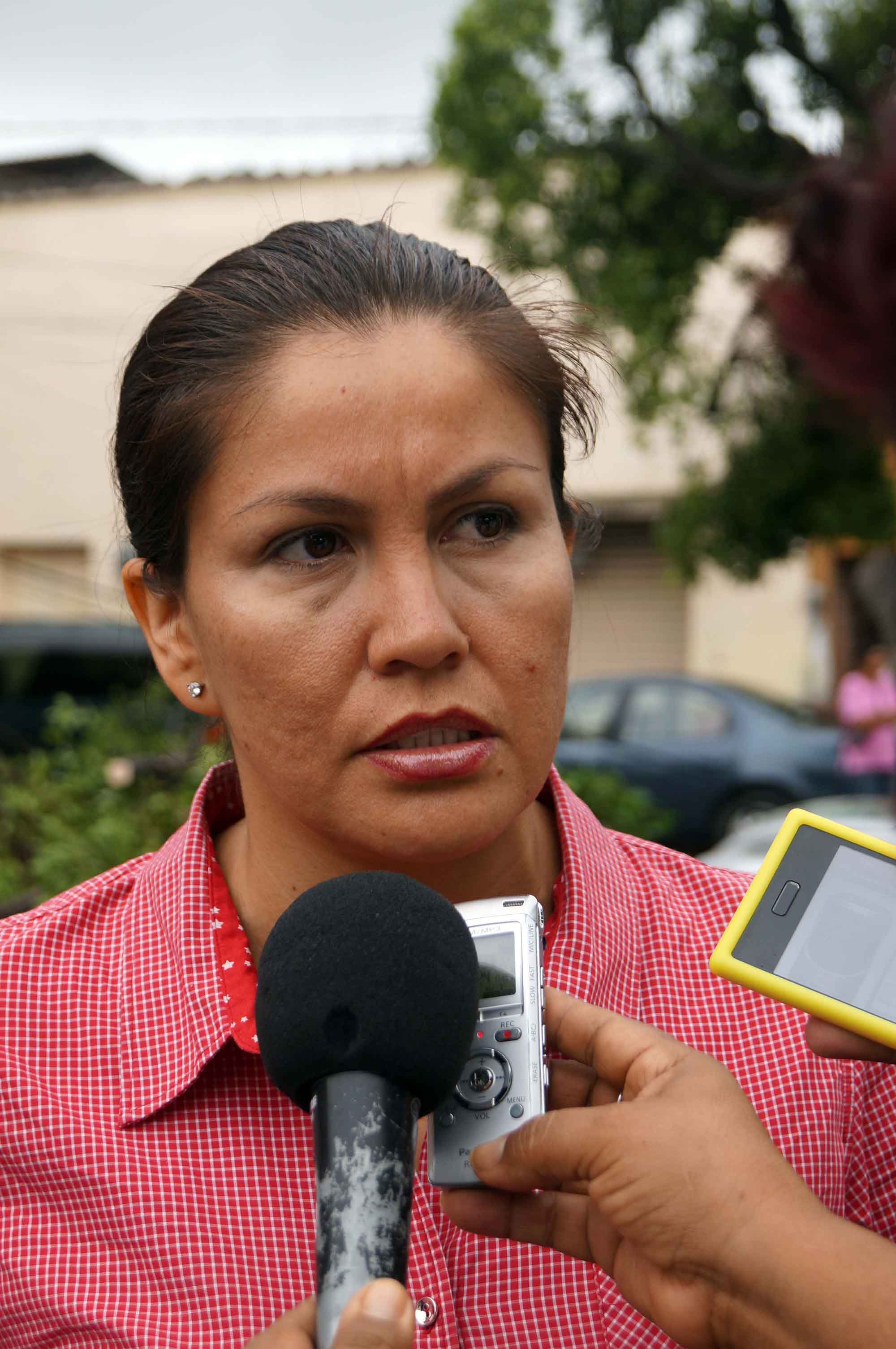 Hortencia Figueroa Peralta