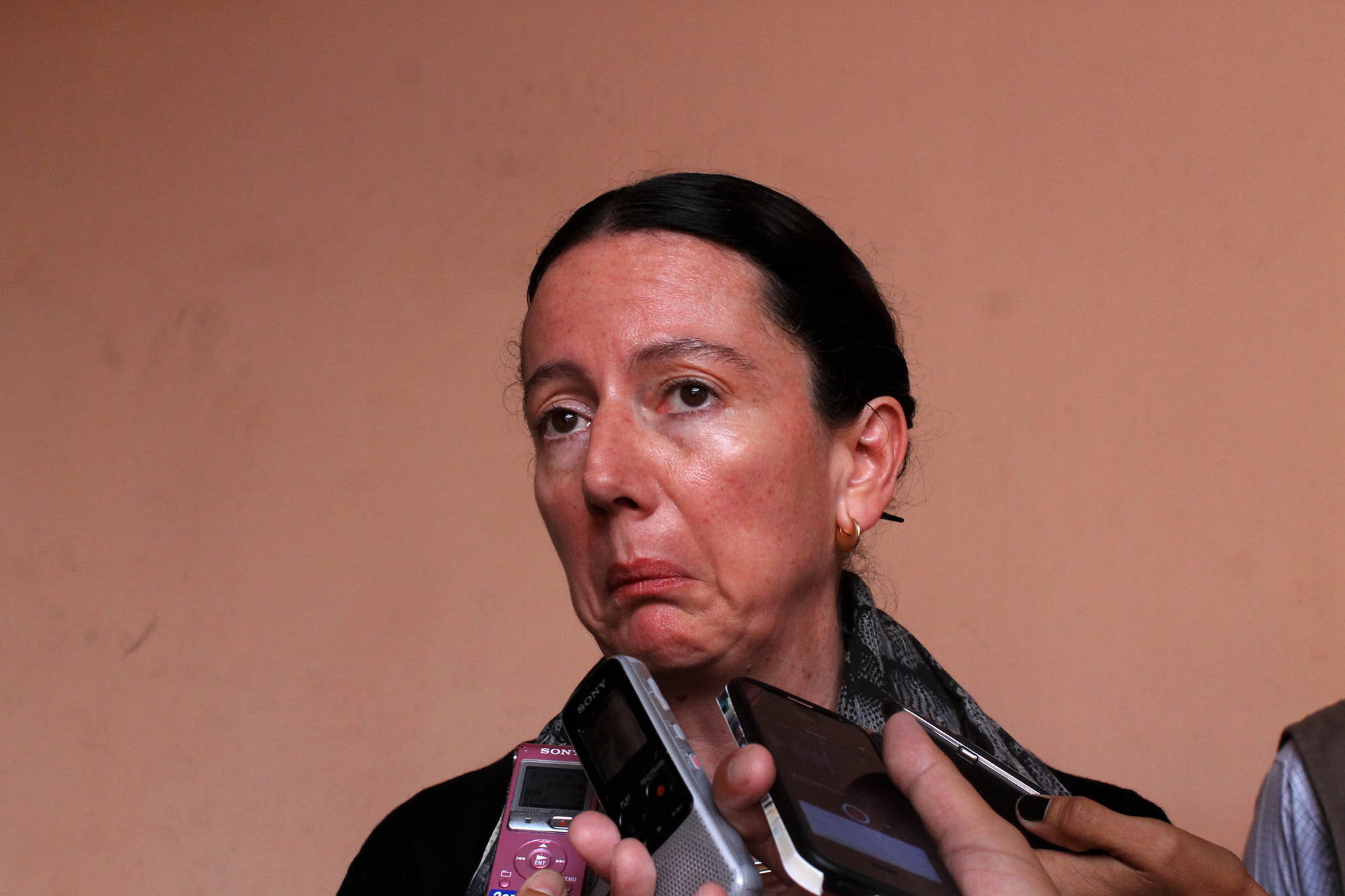 Cristina Faesler