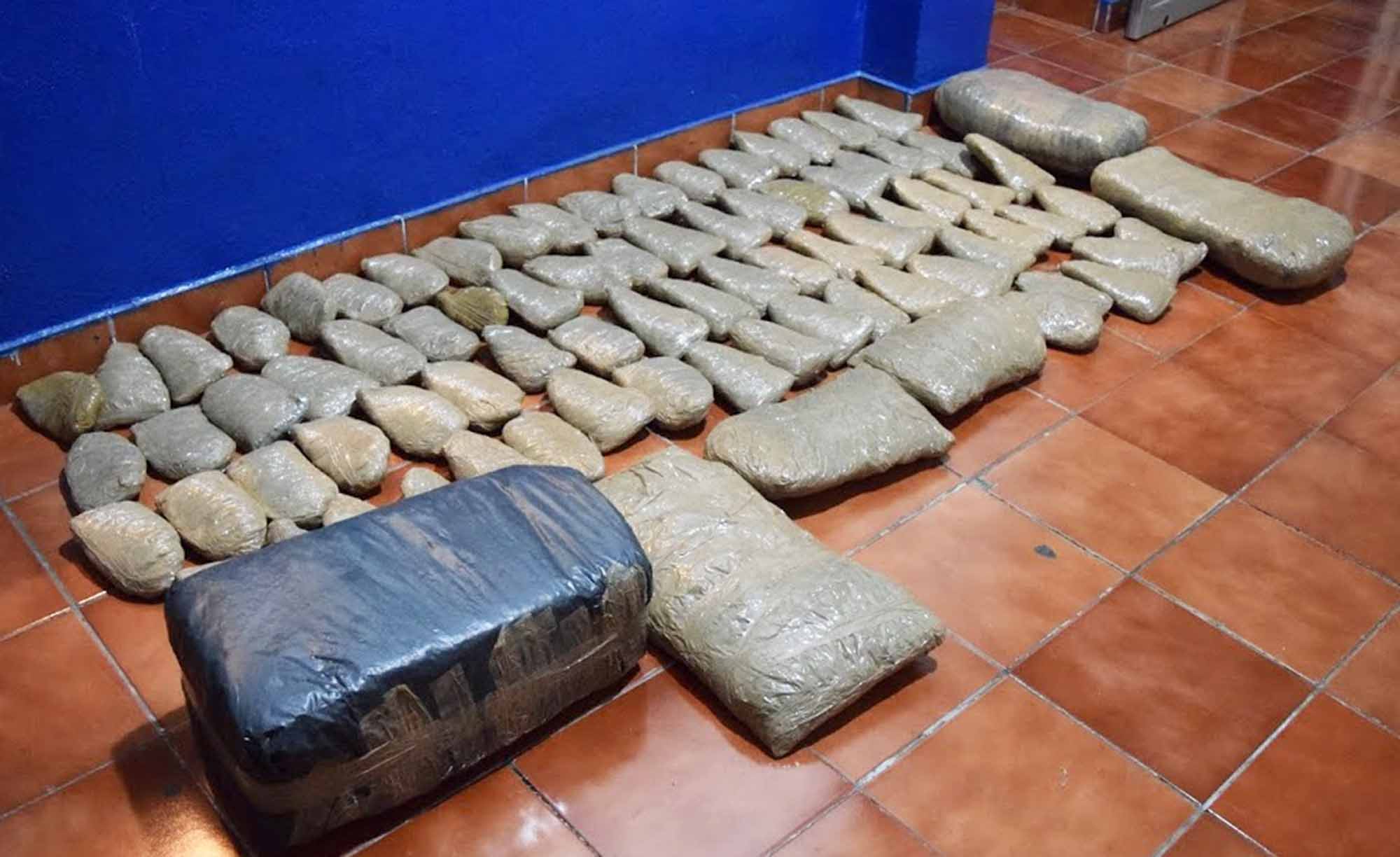 Vegetal verde incautado