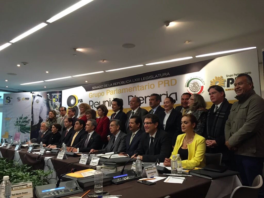 Senador-Fidel-Demedicis