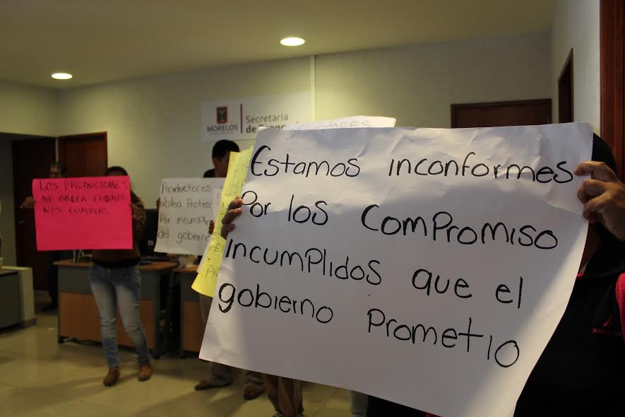 Exigen apoyos a SE productores de amaranto