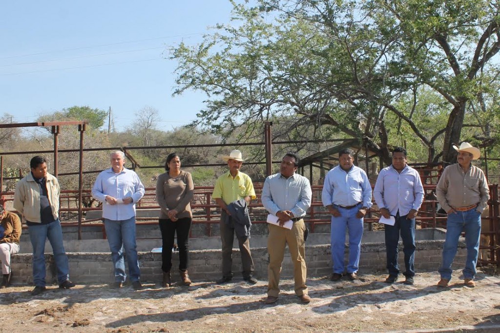 Enrique Alonso Plascencia