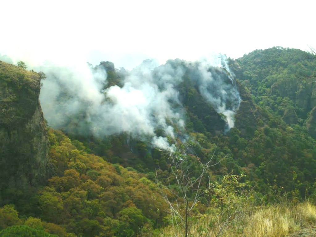 Incendio en Tepoztlán