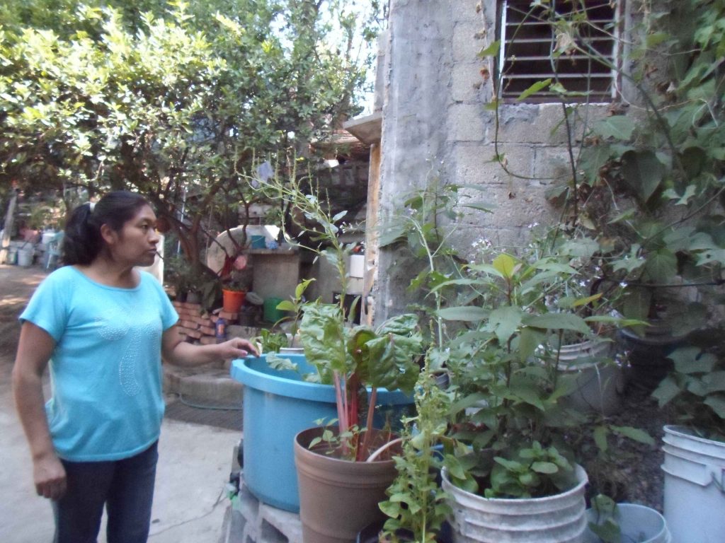 Francisca en su jardín