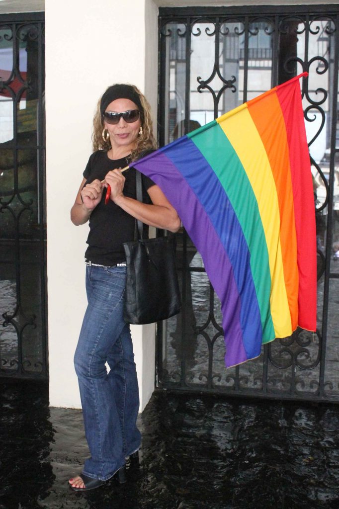 Gays en el Congreso, foto de aspecto