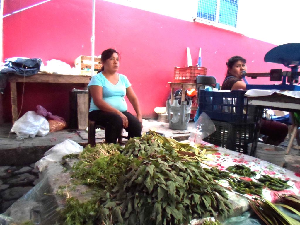 Yerbas en la cocina tradional