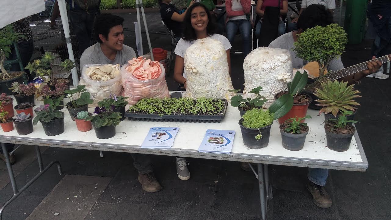 En riesgo investigación biológica de la UAEM por falta de recursos