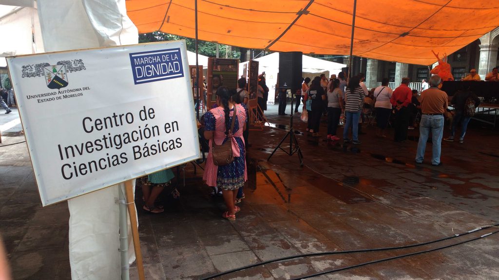 artesanas-en-plantón