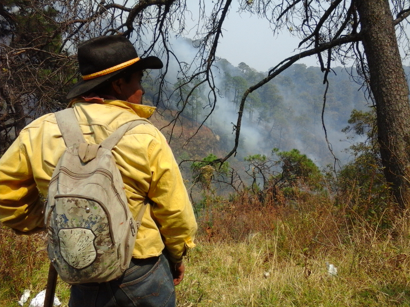 Responsabilizan a Morelos por magnitud de incendios