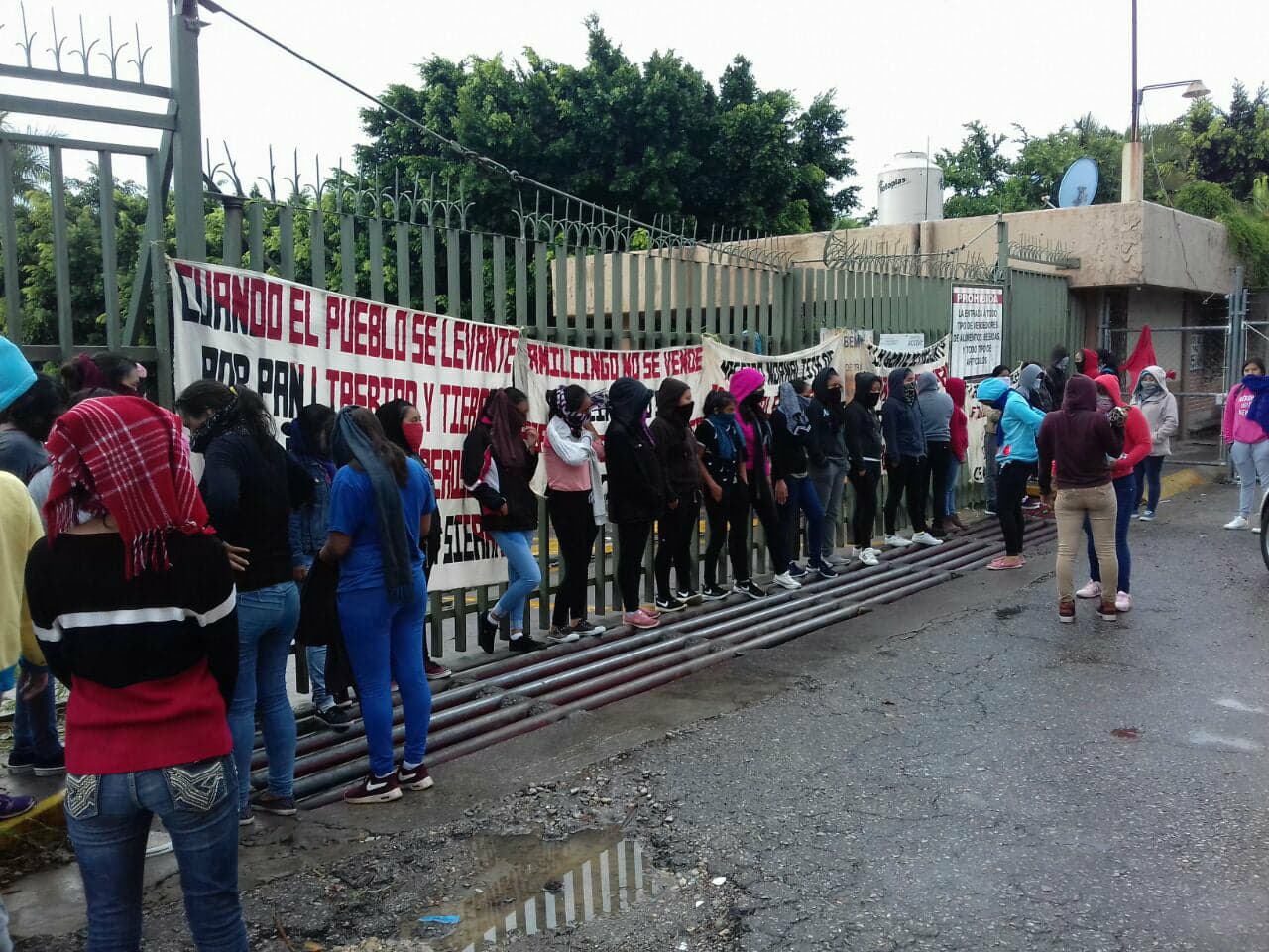 Toman Amilcingas el IEBEM